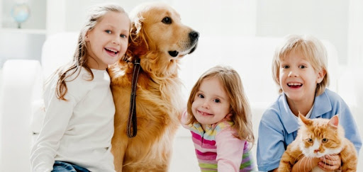 Encounter Bay Veterinary Clinic