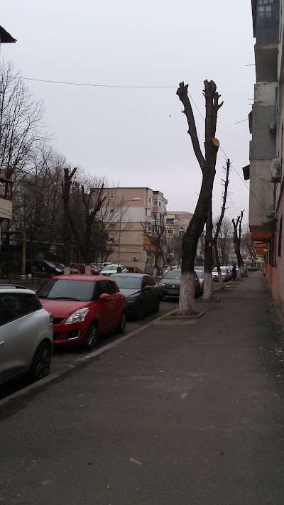 Casa JudeÅ£eanÄ De Pensii CÄlÄrasi Comuna Ileana CÄlÄrasi 40 242 315 235