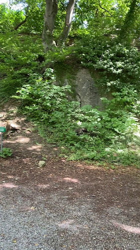Rezensionen über Grillplatz Gofi in Lenzburg - Campingplatz