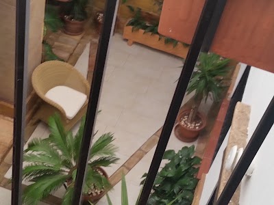 Photos of Apartamentos Patio Cordobes