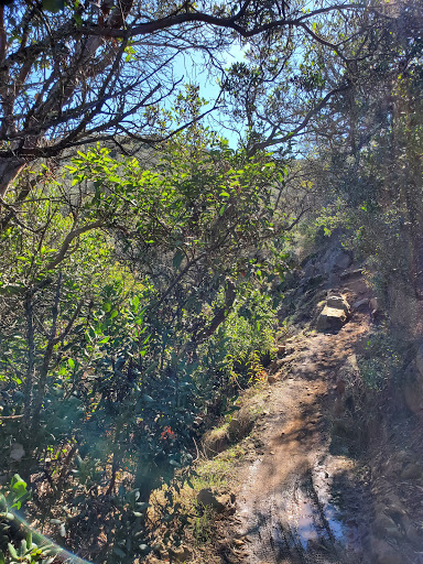 Black Mountain Trailhead - Thumbnail