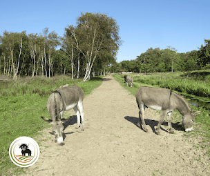 Photo n°13 de Ferme Pédagogique Du Domaine Du Marquenterre à Saint-Quentin-en-Tourmont (Ferme)