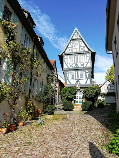 Gothaer Versicherungen in Bad Wimpfen Fred Mainka - Thumbnail