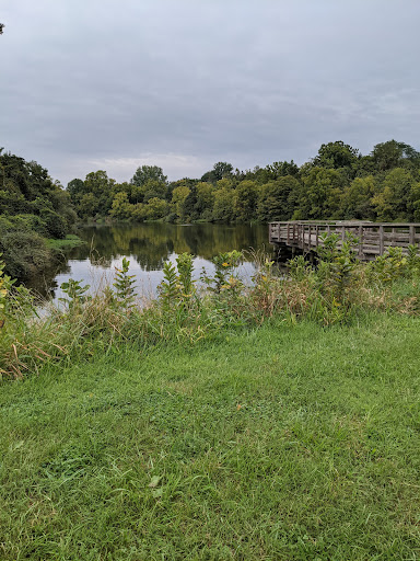 Sewells Orchard Park Boardwalk - Thumbnail