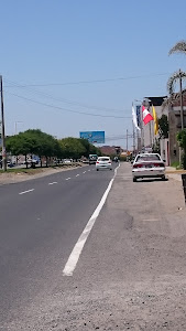 Grifo TACNA 3