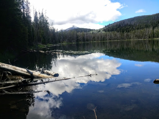 Potosi Campground and Picnic Area Gallery - United States