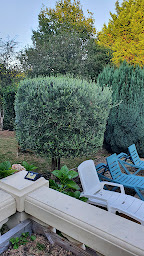 Photo n°55 de Vendée Yourte à Landeronde (Gîte)