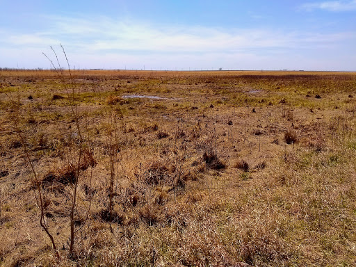 Brauning Waterfowl Production Area - Thumbnail