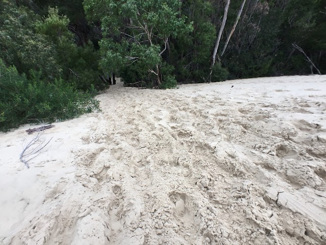 Henty Dunes