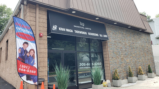 DP Martial Arts & Krav Maga Academy