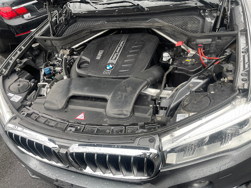 fred's auto service llc