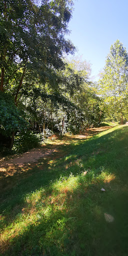 Bord du lignon
