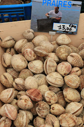 Photo n°11 de Camping Paradis Menez Bichen à Saint-Nic (Terrain pour camping-cars)