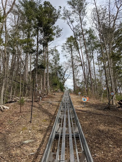 Rowdy Bear Mountain Coaster