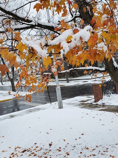 Hibbing Public Library