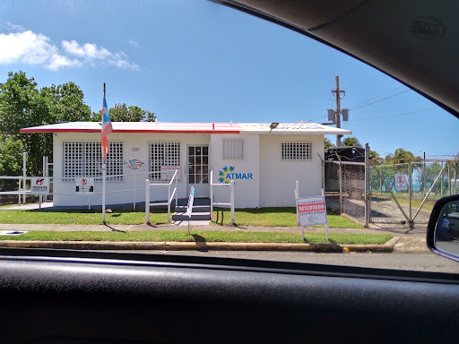 Centro Educativo Amigos de las Tortugas Marinas - Thumbnail