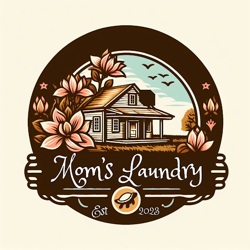 Mom's Laundry - Visual