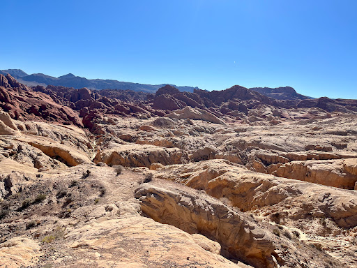 Fire Canyon / Silica Dome - United States