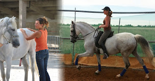 Photo n°1 de Eléonore Bienfait - Ostéopathe Equin Saint-Maximin à Saint-Maximin (Ostéopathe)
