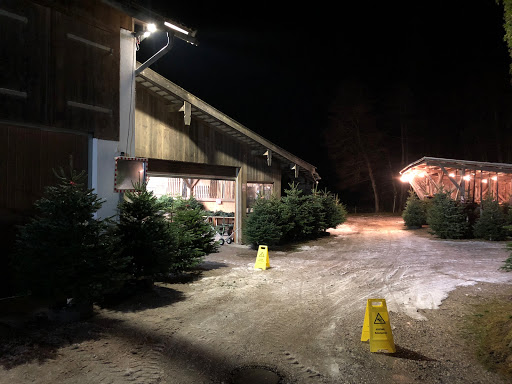 Christbam, Christbäume, Christbaum, Christbaumverkauf, Vachendorf Erlstätt Traunstein NEU Hüpfburgverleih