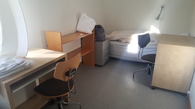 lodging