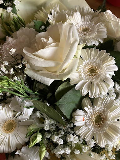 Creative petals - Visual