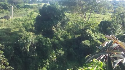 Photos of Parque Los Nogales