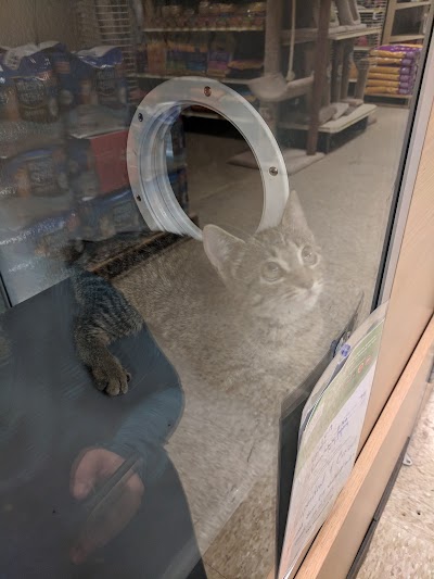 PetSmart