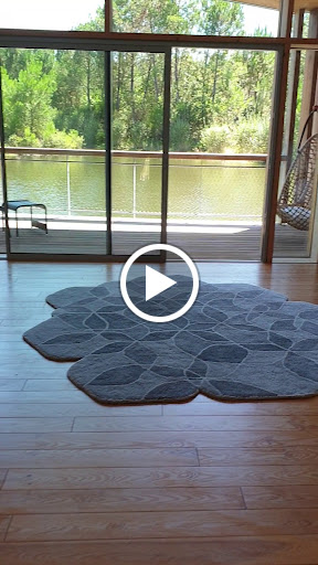 Photo de Les échasses à Saubion (40230)