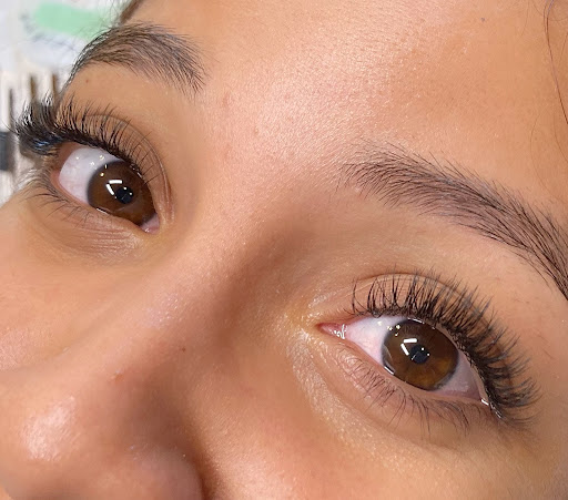 Bee Beauty PRO Gallery - United States
