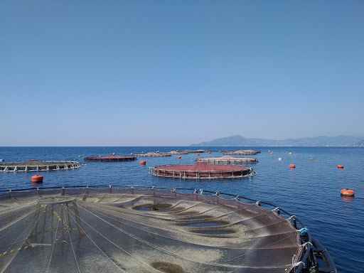 Aqua Srl - Visual