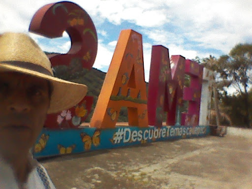 Letras Temascaltepec - Visual
