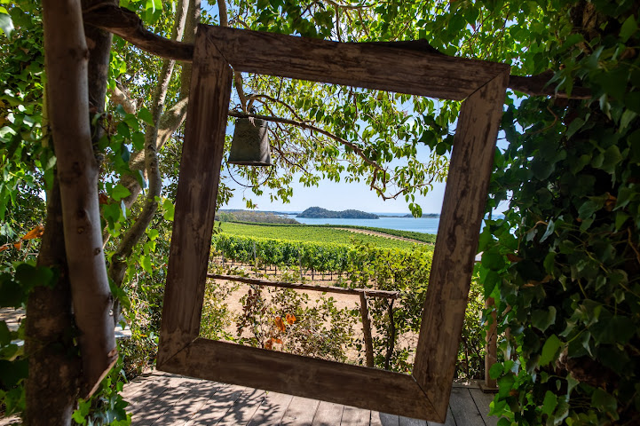Domaine de Terra Vecchia by null