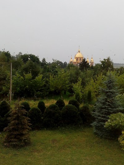 ПРИКАРПАТСЬКИЙ ЛІСОГОСПОДАРСЬКИЙ КОЛЕДЖ, КВНЗ