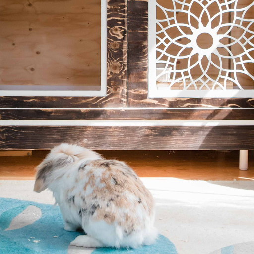 Bespoke Digs - Visual