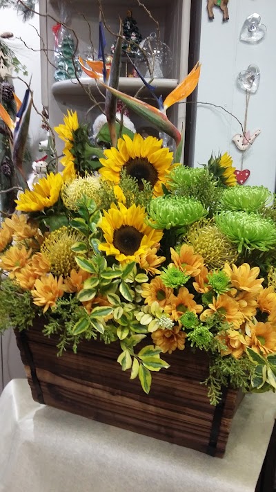 Photos of Candy B Flowers