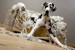 Photo n°16 de Centre national de formations DAKTARI- GTAAF à Marcilloles (Services d’information)