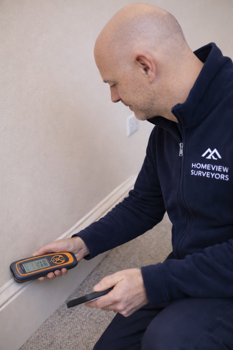 HomeView Surveyors photo 2