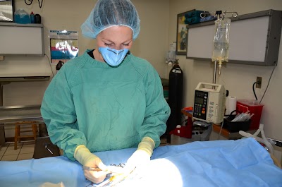 Photos of Animal Medical Center-Marquette