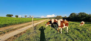 Photo n°90 de La Boucotte Maison d'Hôtes, Gîte et Cabane Vellerot-lès-vercel Doubs à Vellerot-lès-Vercel (Spa)