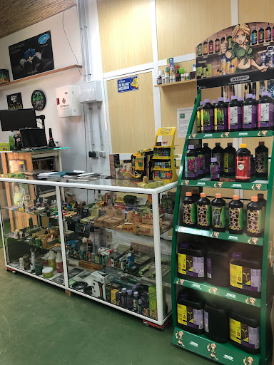 Tugreengrowshop - Visual