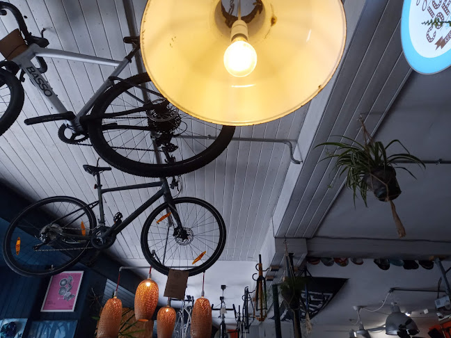 Velo Domestique Open Times