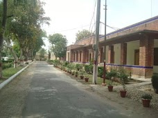 Punjab Local Government Academy gujrat