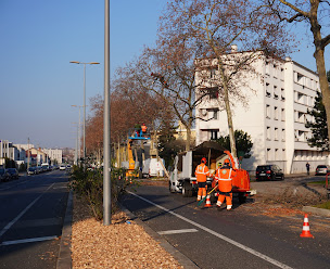 Photo n°10 de CHAZAL à Saint-Priest (Paysagiste)