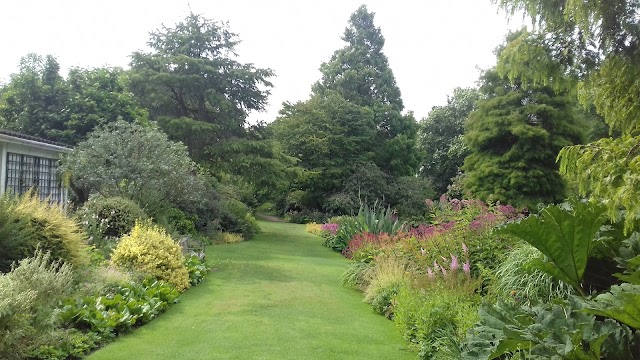 The Beth Chatto Gardens