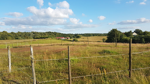Genarpsbadet - Thumbnail
