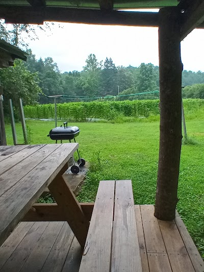 Rustic Cabin on the River