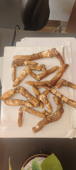 Af1qipnimmpsynpzkaqheukamtweeoziaw93iymnowcr=s677 K No