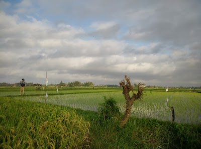 Photos of SUBAK Sangkaragung