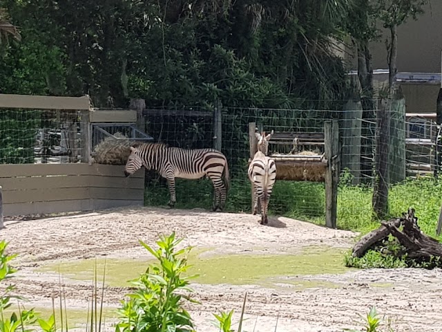 ZooTampa at Lowry Park